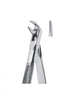Extracting Forceps